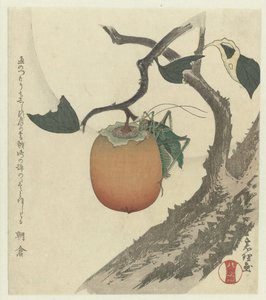 Persimmon with Grasshopper