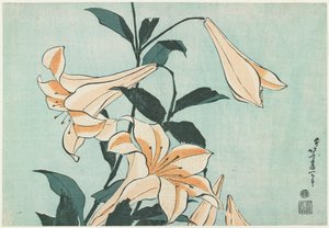 Lilies