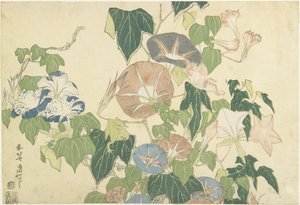 Morning Glories and Tree Frog, from the untitled series known as Large Flowers, c.1833-34