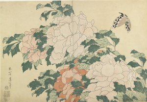 Peonies and Butterfly