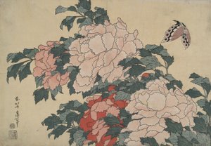 Peonies and Butterfly, from an untitled series named Large Flowers