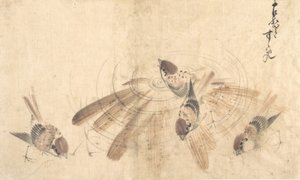 Sparrows, ca. 1825