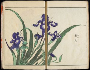 Transmitting the Spirit and Revealing the Form of Things: Hokusai