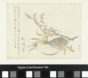 Two Flatfish and Plum by Katsushika Hokusai