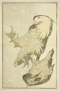 Two Waterfowl, from The Picture Book of Realistic Paintings of Hokusai by Katsushika Hokusai