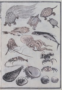 Undersea creatures, from a Manga by Katsushika Hokusai