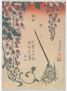 Wagtail and Wisteria, Edo Period by Katsushika Hokusai