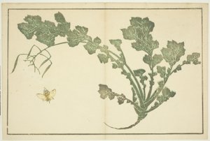 Wasp and Turnip Stalk, from "The Picture Book of Realistic Paintings of Hokusai" by Katsushika Hokusai