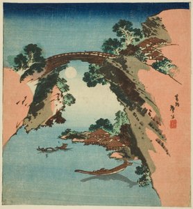 Monkey Bridge