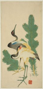 Pine and Cranes