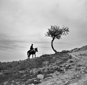 Peasant Returning from the Fields, Rides a Mule