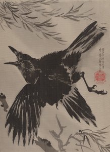 Crow and Willow Tree