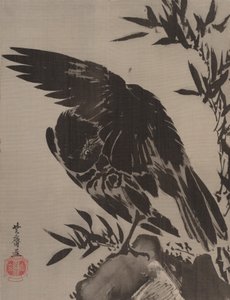 Crow on a Rock