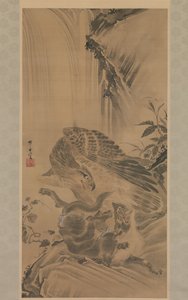 Eagle Attacking a Mountain Lion