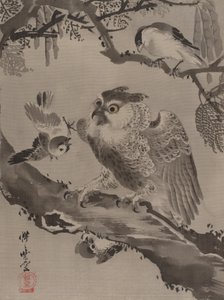 Owl Mocked by Small Birds