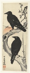 Two Crows Sitting on a Branch of a Blooming Plum Tree at Sunset