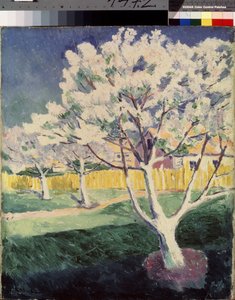Summer Landscape