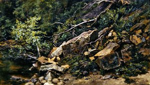 A Rocky Bank