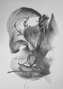 Dynamic Flow