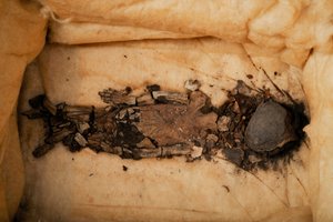 Fetus mummy, child of King Tut, Fetus 1, female, from KV62, Currently at Qasi Aini Hospital, 2009