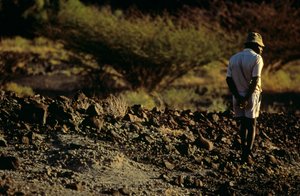 Fossil hunter, Kamoya Kimeu, leader of the Hominid Gang, 2008 (photo)