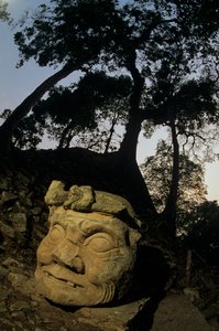 God N, Ceiba tree, temple, Maya, Copan, Honduras, Classic period by Kenneth Garrett