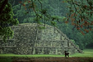 Honduras; Copan; Maya by Kenneth Garrett