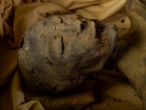 Mummy of King Tut