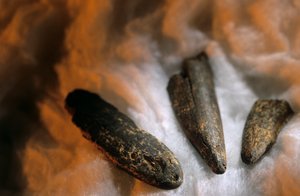 Sharpened Bone Points Used for Digging, From Drimolean Site, Near Johannesburg, South Africa