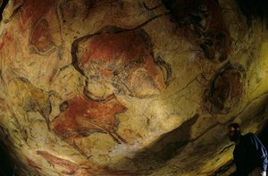 The gallery of bison, Altamira Cave, Spain, 2000 (photo)