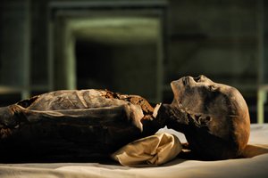18th Dynasty, New Kingdom, Egypt, DNA Sample, Mummy, Unknown Mummy, 2005 by Kenneth Garrett