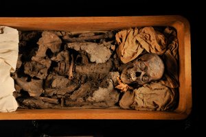 Tutankhamun; 18th Dynasty; New Kingdom; the Egyptian Museum; Cairo; DNA; Sample, 2005 by Kenneth Garrett