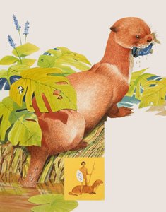 The Saro by Kenneth Lilly
