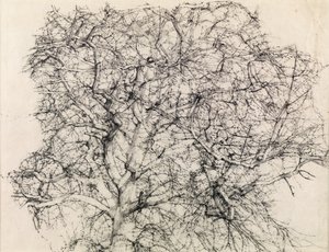 Study of a Tree