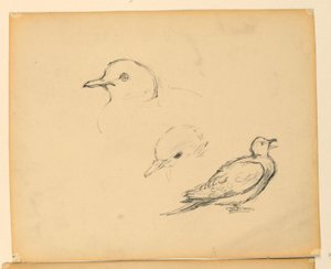 Study for 