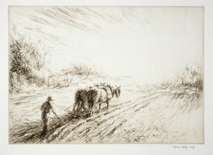 Ploughing