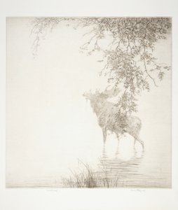 Shadows on the Agawa by Kerr Eby