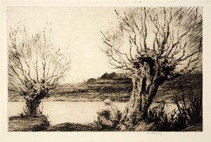 The Willows by Kerr Eby
