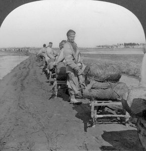Conveying salt to the interior by wheelbarrow train, China, 1907