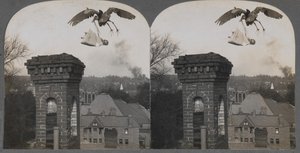 In Olden Times, if Folks Were Good, the Stork Would Bring a Baby Sweet and Fair, 1907