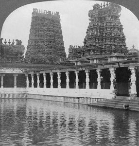 Sacred Gold Lily Lake and Pagodas - Great Temple to Siva, Madura, South India