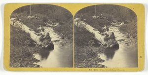 The Babbling Brook, 185575