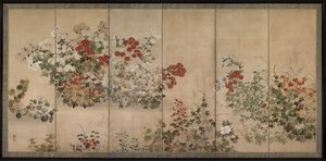Flowers and Grasses