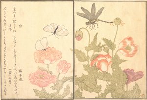 Butterfly Cho, Dragonfly Kagero or Tonbo, 1788 by Kitagawa Utamaro
