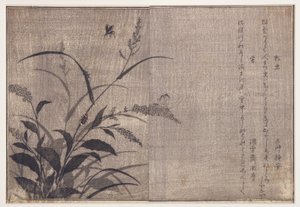 Cricket and Fireflies, 1788 by Kitagawa Utamaro