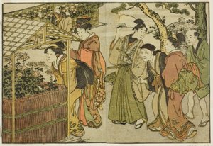 Display of Chrysanthemums, from the illustrated book "Picture Book: Flowers of the Four Seasons," vol. 2 by Kitagawa Utamaro