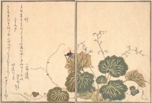 Earthworm Mimizu, Cricket Korogi by Kitagawa Utamaro