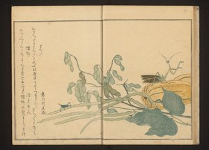 Grasshopper on Bean and Praying Mantis on Melon by Kitagawa Utamaro