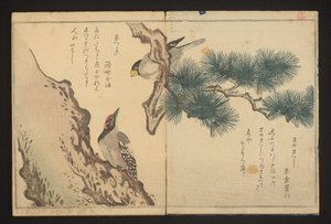 Grosbeak and Woodpecker by Kitagawa Utamaro