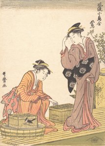 Japanese Bush Warbler, 1754-1806